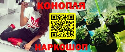 альфа пвп Пенза